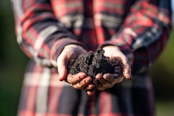 регенеративная органическая фермерша, берёт образцы почвы и смотрит на рост растений на ферме. практиковать устойчивое сельское хозяйство в Австралии