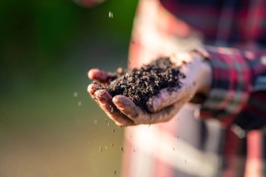 Kadın çiftçi, Avustralya 'daki bir çiftlikte toprak sağlığını gözlemek için toprağı elinde tutuyor.