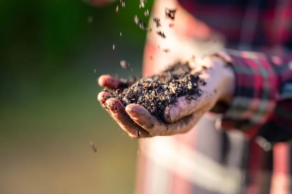 Female farmer hold soil in hands monitoring soil health on a farm in australia