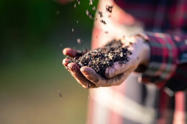 regenerative organic female farmer, taking soil samples and looking at plant growth in a farm. practicing sustainable agriculture un australia