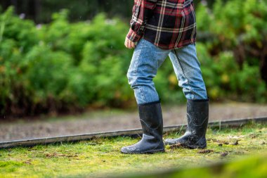 Genç kadın toprak bilimci Avustralya 'daki bir toprak laboratuarında toprak tutuyor. 