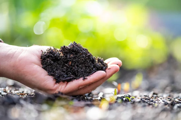 stock image soil testing with a test tube in the soil close up the plants in the background in australia