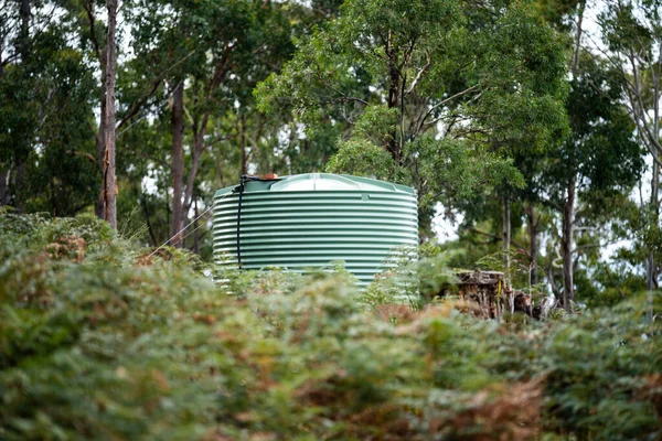 stock image Plastic water tank in the forest of an off grid house in Australia in the bush in summer