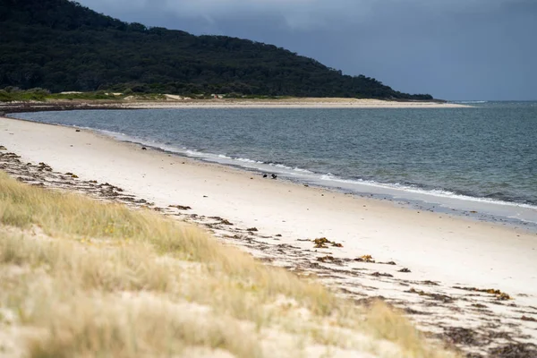Hermosa Playa Australiana Con Olas Isla Atardecer — Foto de Stock