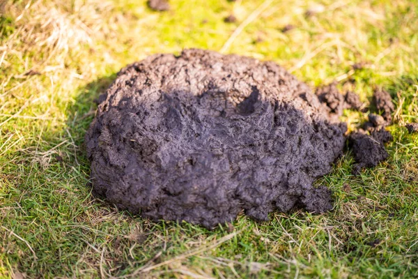 Глинистая Почва Черном Фоне — стоковое фото