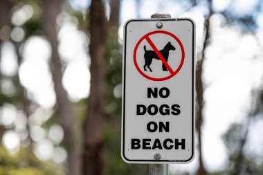 Çalılıklarda köpeklerin dolaşmasına izin verilmez. 