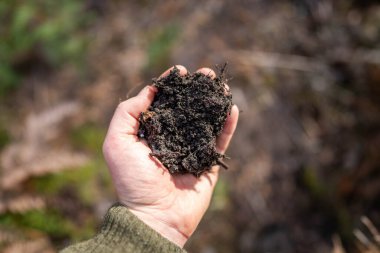 Kadın çiftçi, çiftlikteki toprak sağlığını gözlemek için toprağı elinde tutuyor. 
