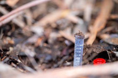 Çocuk bilim yapıyor, test tüpleriyle dışarıda çalılıklarda geziyor.