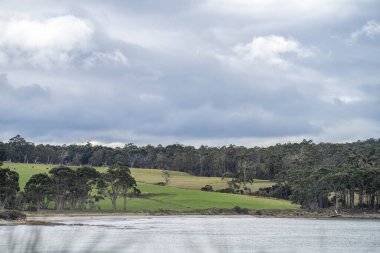 Baharda Avustralya 'da kumsalın yanındaki çiftlikte.