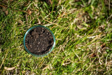 Toprakta karbon tutan dişi çiftçi bir çiftlikte ellerinde tutuluyor.