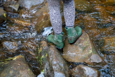 Deniz yosunlu bir kumsalın yakın plan çekimi.