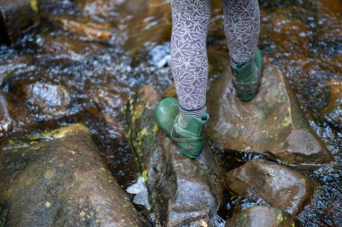 Deniz yosunlu bir kumsalın yakın plan çekimi.