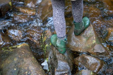 Deniz yosunlu bir kumsalın yakın plan çekimi.