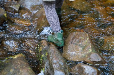 Deniz yosunlu bir kumsalın yakın plan çekimi.