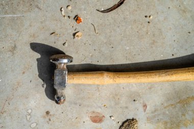 Aletlerle çim ve kabuk mücevheri yapmak