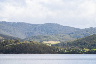 İlkbaharda Tazmanya Avustralya 'daki su kaynaklı orman ve çiftlikler
