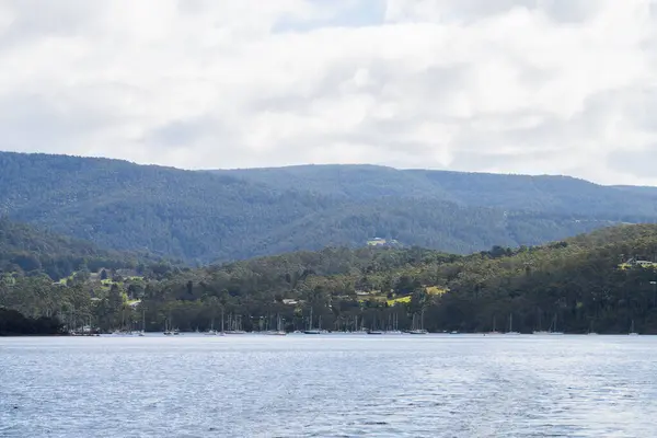 forest and farms from the water in tasmania australia in spring