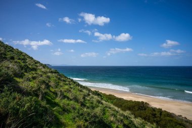 Boynunda pembe bulutlar ve altında okyanusla güzel, kumral bir ada. 