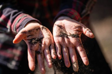 Kadın rejeneratif organik çiftçi, toprak örnekleri alıyor ve bir çiftlikteki bitki gelişimine bakıyor. Toprak sağlığına bakan bir alanda tarım yapmak.