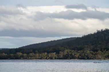 Avustralya 'da su üzerinde ada ve orman