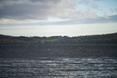 Avustralya 'da su üzerinde ada ve orman