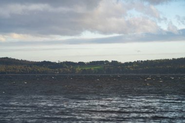 Avustralya 'da su üzerinde ada ve orman