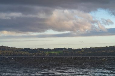 Avustralya 'da su üzerinde ada ve orman