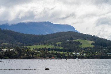 Hobart Tazmanya 'daki Wellington Dağı. Üzerinde bulutlar olan ulusal park.