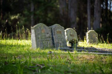 Mezarlıkta bir mezar taşı, büyük mermer mezar taşı. Etrafta başka mezarlar ve cenazeler varken