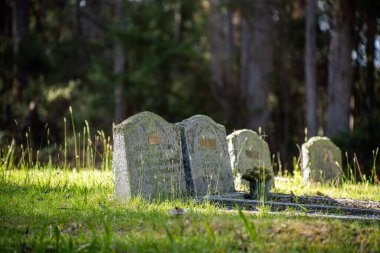 Mezarlıkta bir mezar taşı, büyük mermer mezar taşı. Etrafta başka mezarlar ve cenazeler varken