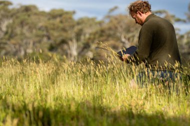 Yenileyici organik çiftçi, toprak örnekleri alıyor ve bir çiftlikteki bitkilere bakıyor. İlkbaharda sürdürülebilir tarım uygulaması