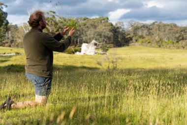 Yenilenebilir bir çiftlikte çayırlar ve otlar. yerel bitkiler karbon depoluyor