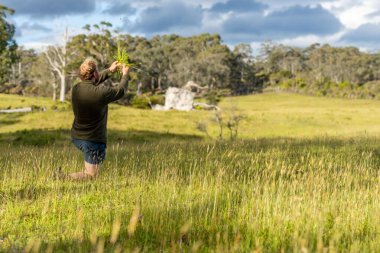 Çiftçi tarlada toprak ve bitki örneği üzerinde çalışıyor. İlkbaharda mantar arayan bir bilim adamı
