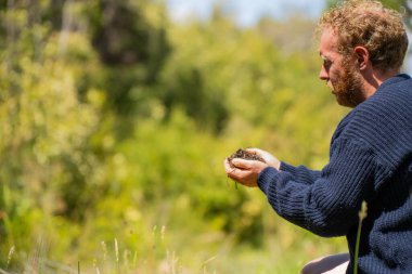 Çiftlikteki bir tarlada bir çiftçi tarlasını ekip biçmiş.