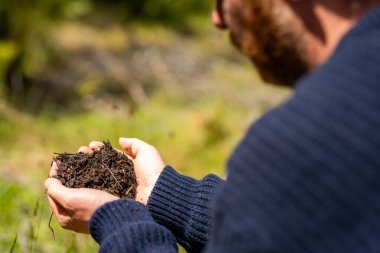 toprak bilimci çiftçi baharda bir tarlada toprak örneklerine ve çimenlere bakıyor. İlkbaharda bitkilerin ve toprak sağlığının büyümesine bakmak