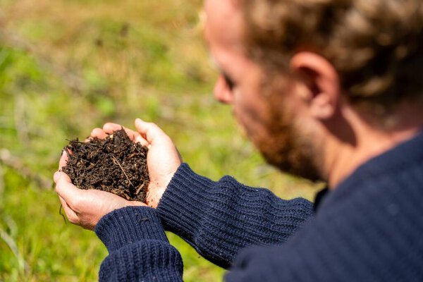 regenerative organic farmer, taking soil samples and looking at plant growth in a farm. practicing sustainable agriculture 