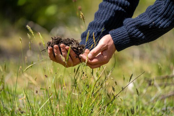 crop agronomy conducted by a farmer on a farm in spring