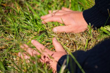 Bir çiftçi tarafından baharda bir çiftlikte yapılan tarım ekimi.