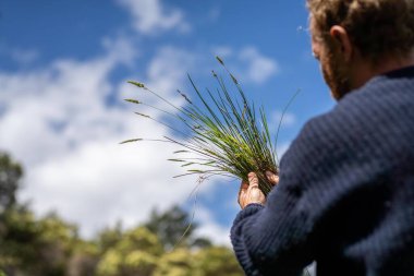 Çiftlikteki bir tarlada bir çiftçi tarlasını ekip biçmiş.