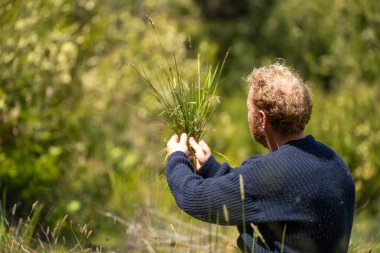 Bir çiftçi tarafından baharda bir çiftlikte yapılan tarım ekimi.