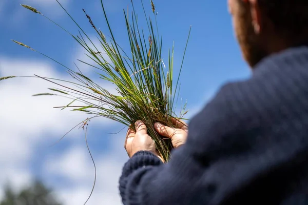 Agricultor Orgánico Regenerativo Tomando Muestras Suelo Mirando Crecimiento Las Plantas — Foto de Stock