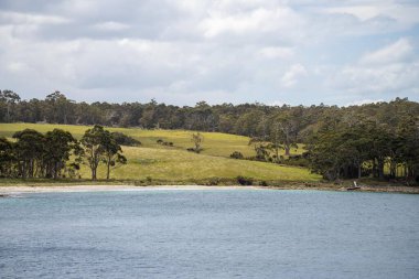 İlkbaharda Avustralya 'da tarım arazisi 