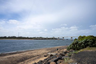 Avustralya sahillerinde yürüyorum Melbourne Avustralya 'da sular çekildiğinde 
