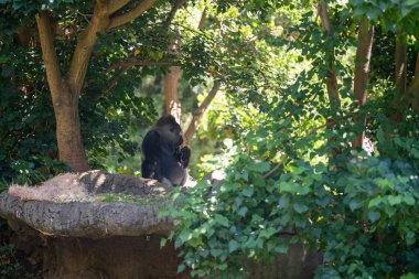 İnsanlar tatilde manzaraları seyrediyorlar.