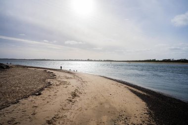 Phillip Adası 'nda alacakaranlıkta yüzen aileleri olan kumlu bir sahil. 