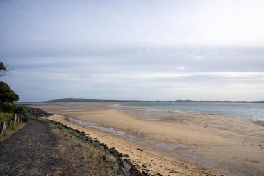 Phillip Adası 'nda alacakaranlıkta yüzen aileleri olan kumlu bir sahil. 