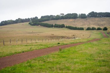 Avustralya 'da kurak bir yaz mevsiminde bir tarım çiftliğinin girişindeki çiftlik çiftliğinde. 