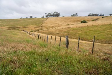 Avustralya 'da bir çiftlikte çitin üzerinde elektrikli tel örgü var.