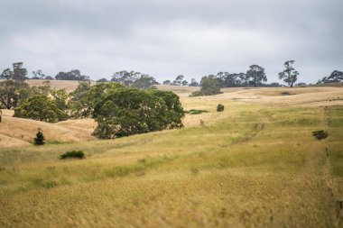 Avustralya 'da kurak bir yaz mevsiminde bir tarım çiftliğinin girişindeki çiftlik çiftliğinde. 