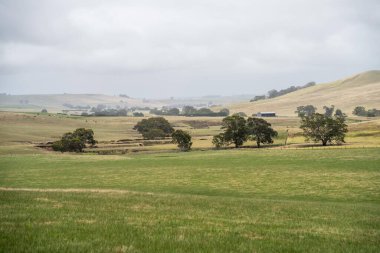 Kalabalıkta sırt çantalı bir turist stadyumda spor müsabakası izliyor. Avustralya 'daki Avustralya Açık Tenis Turnuvası' nda spor taraftarları tezahürat yapıyor ve tenis seyrediyor. Sıcak yaz sporu hayranları, 